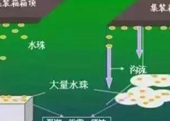 集裝箱里進水，誰的錯？如何預防應對？