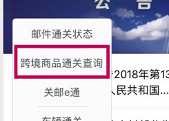 聽說，城市服務(wù)里上線了您的跨境電商額度“保衛(wèi)者”