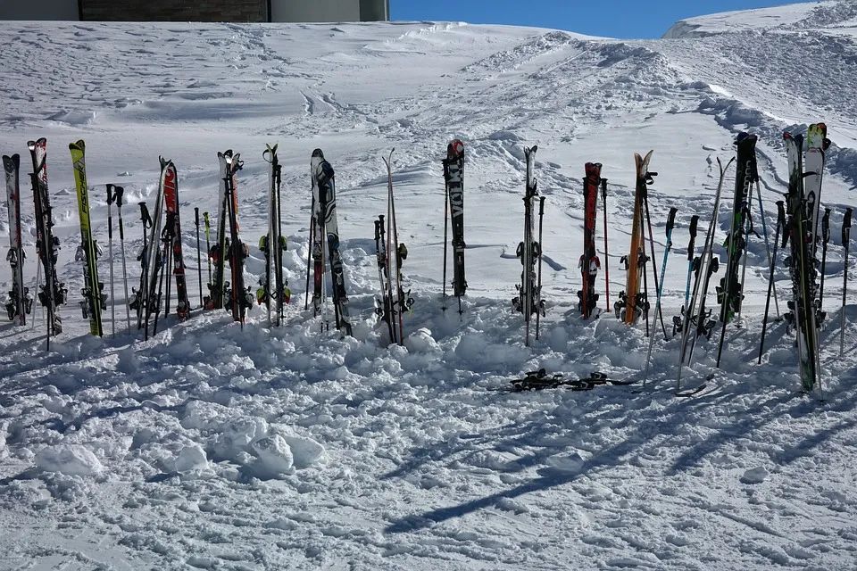 滑雪杖滑雪屐進口清關(guān)，滑雪用具進口進保稅倉流程，2022新版跨境電子商務零售進口商品清單