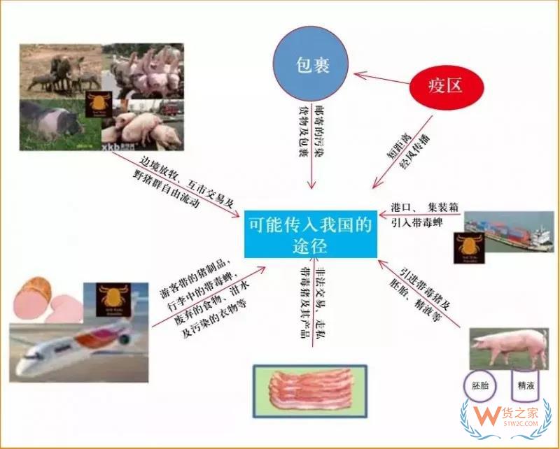 非洲豬瘟防控，你需要知道的在這里！貨之家