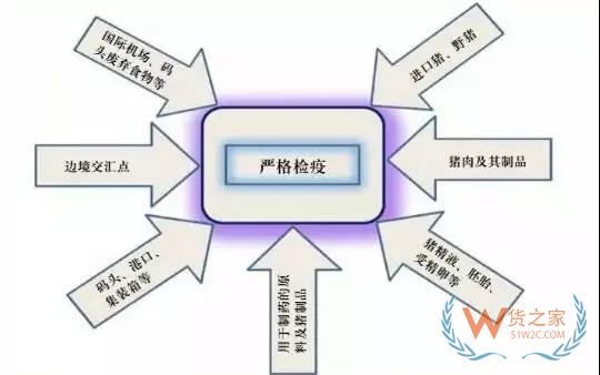 非洲豬瘟防控，你需要知道的在這里！貨之家