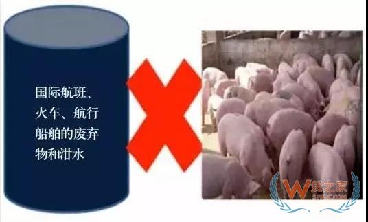 非洲豬瘟防控，你需要知道的在這里！貨之家