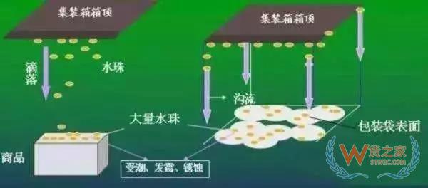 集裝箱里進(jìn)水，誰的錯(cuò)？如何預(yù)防應(yīng)對(duì)？貨之家